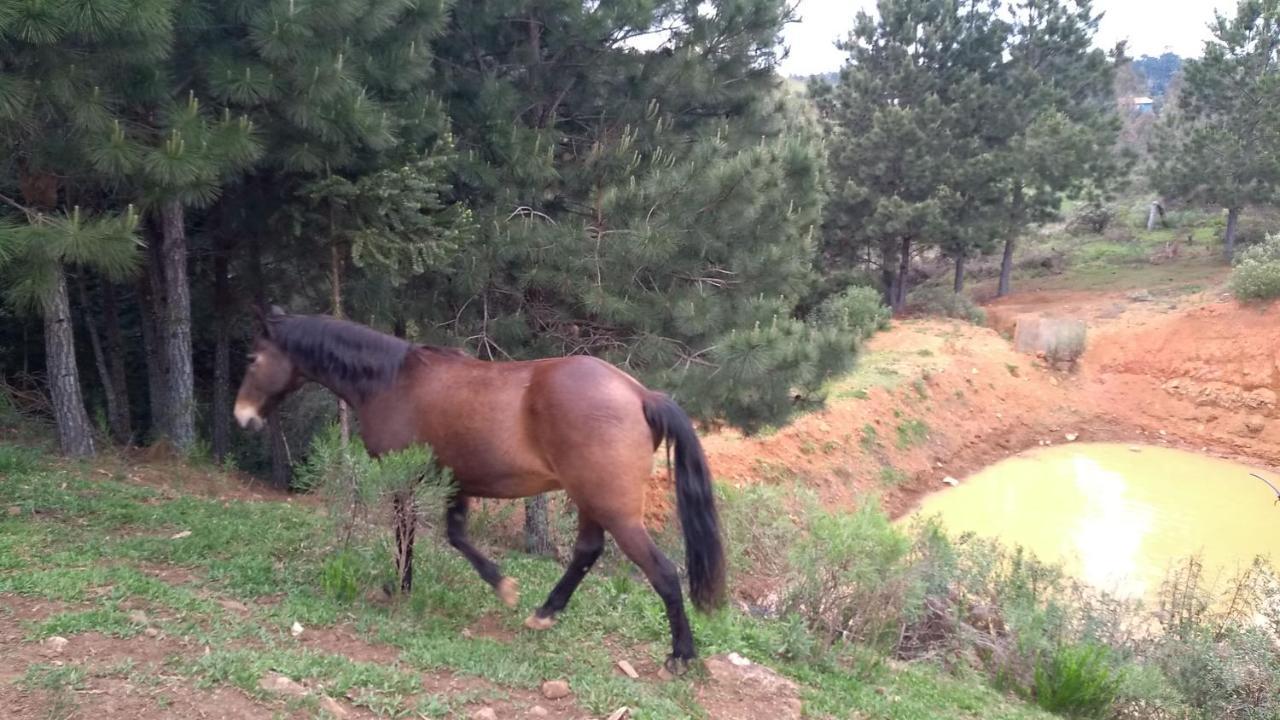 Chale Estancia Ouro Verde Lages Dış mekan fotoğraf