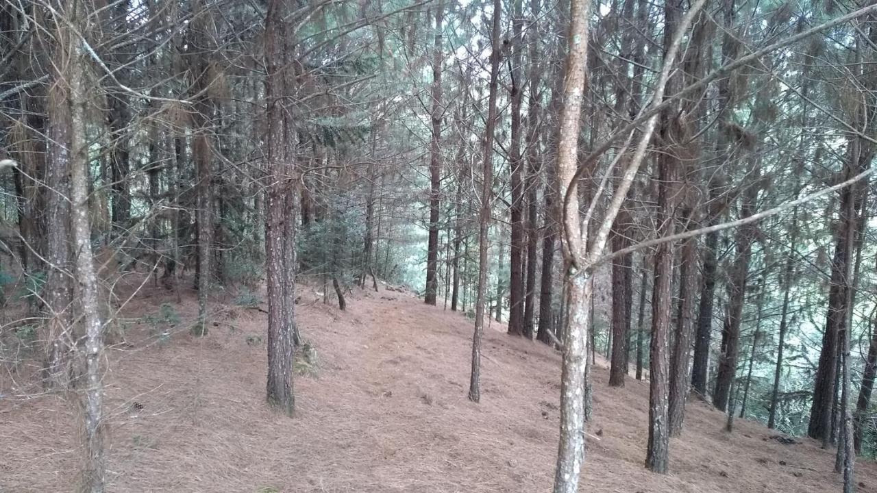 Chale Estancia Ouro Verde Lages Dış mekan fotoğraf
